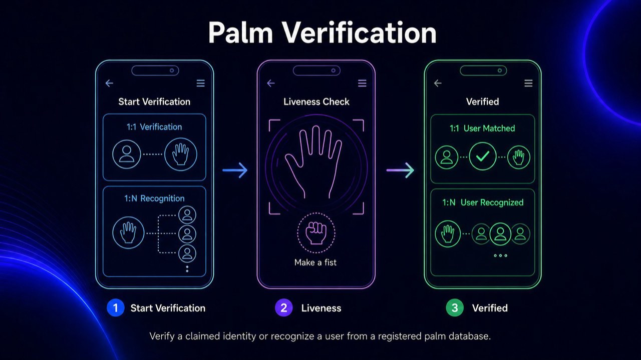 Palm verification flow: start verification, liveness check, verified