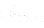 Sinovision